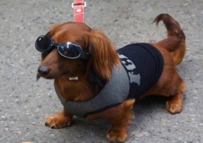 I'M JUST TOO COOL