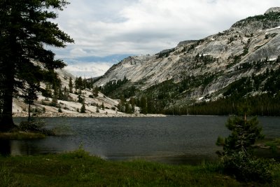 TENYA LAKE VIEW YOSEMITE NATIONAL PARK