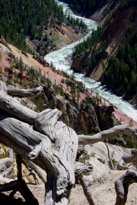 GRAND CANYON OF THE YELLOWSTONE