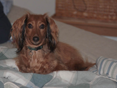 Riley