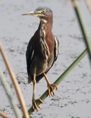 CRW_5679.JPG