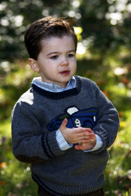 Will
