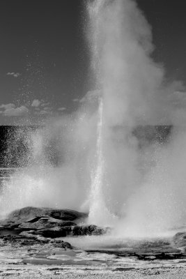 Yellowstone & Grand Tetons National Park