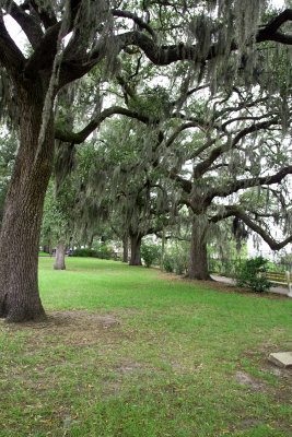 Mossy Oaks, Savannah, GA