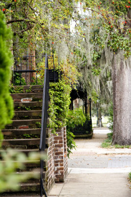 Mossy Oak Lined Street, Savannah, GA