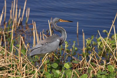 IMG_6481.JPG