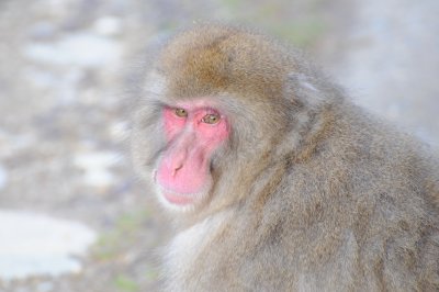 DSC_0087.jpg