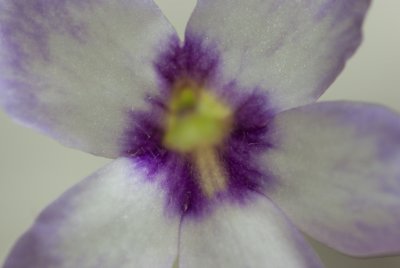 g1/76/883476/3/115023590.g6Oa7jSe.jpg