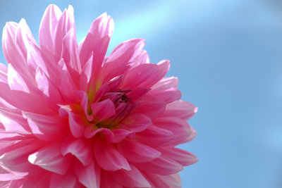 SEP 2009