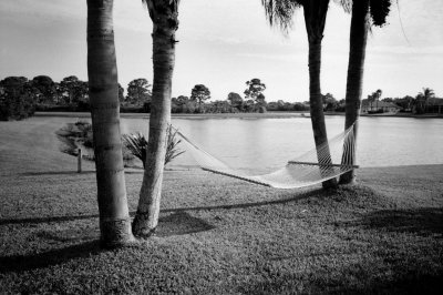 Hammock under Palms