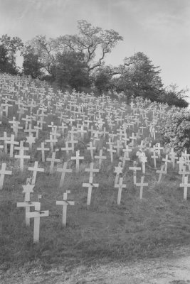 The Crosses - Lafayette California