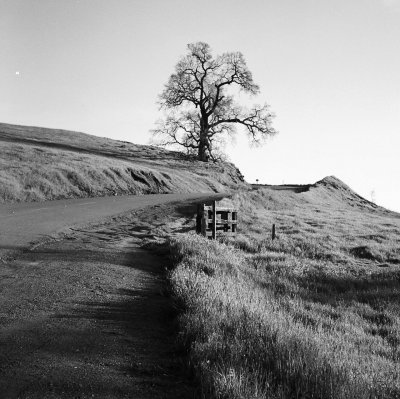 Mount Diablo California