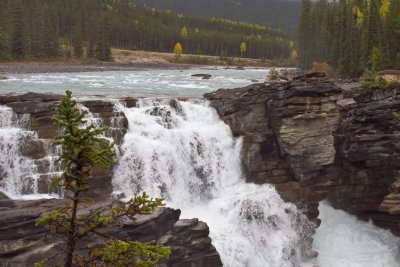 Athabasca Falls Jasper National Park.jpg