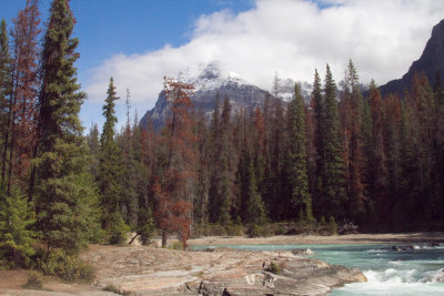 Natural Bridge 2 Yoho National Park.jpg