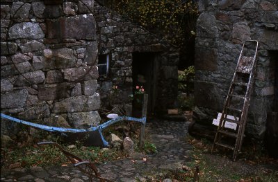 GardNat-03.jpg