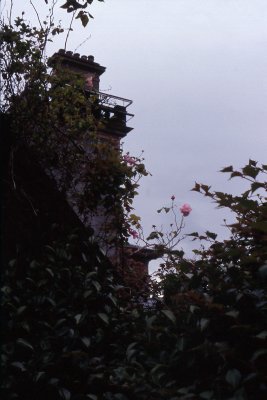 GardNat-04.jpg