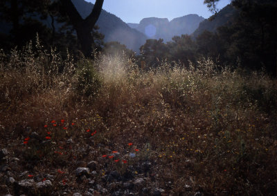 GardNat-16.jpg