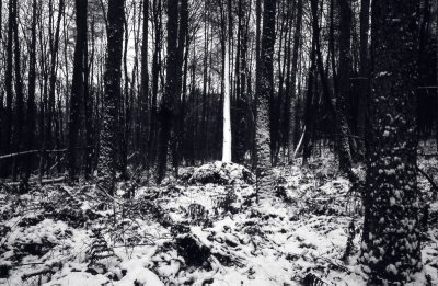 GardNat-19.jpg