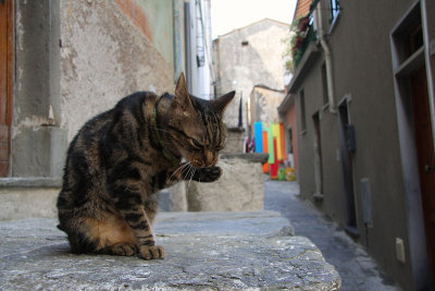 Italië & Zwitserland - Cinque Terre, Toscane & Aletsch - 2008
