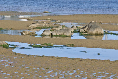 shore