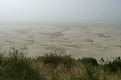foggy beach