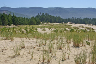 Sand dunes