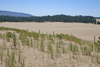 Sand dunes