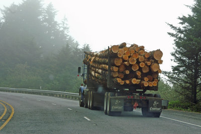logging trucks- everywhere