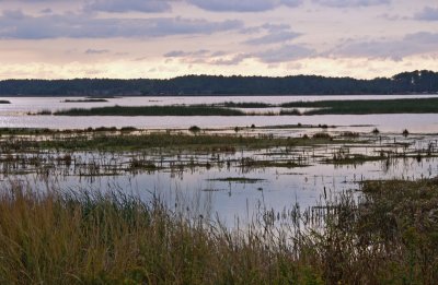  Pond on wildlife drive near sunset