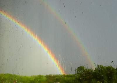 rainbow-thru the window