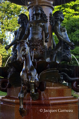 _IGP2534.JPG