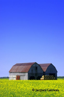 _IGP2640.JPG