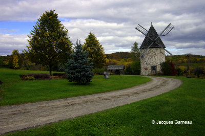 _IGP1170.JPG