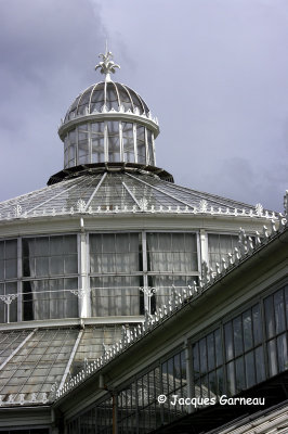 _IGP4208 - Jardin botanique (Botanisk Have).JPG