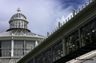 _IGP4209 - Jardin botanique (Botanisk Have).JPG