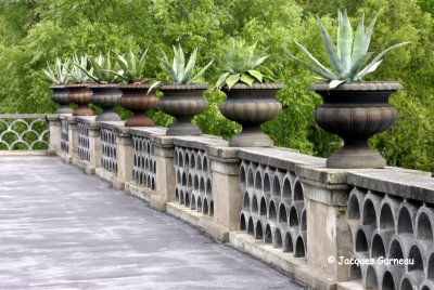_IGP4210 - Jardin botanique (Botanisk Have).JPG