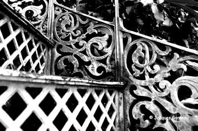 _IGP9905 - Jardin botanique (Botanisk Have).JPG