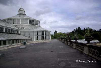 _IGP9909 - Jardin botanique (Botanisk Have).JPG