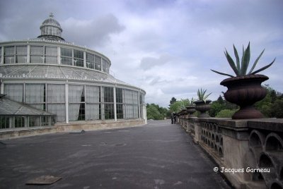 _IGP9910 - Jardin botanique (Botanisk Have).JPG