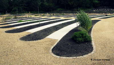 _IGP9911 - Jardin botanique (Botanisk Have).JPG