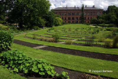 _IGP9914 - Jardin botanique (Botanisk Have).JPG