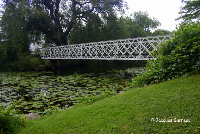 _IGP9918 - Jardin botanique (Botanisk Have).JPG