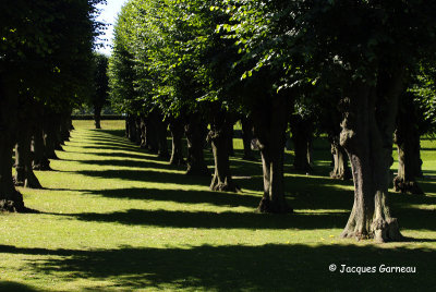 _IGP4951 - Parc du Chteau de Frederiksberg.JPG