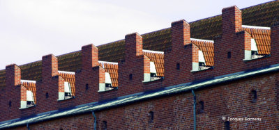 _IGP5398 - Ancienne forteresse de Malmöhus, Malmö.JPG