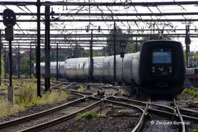 _IGP5625.JPG