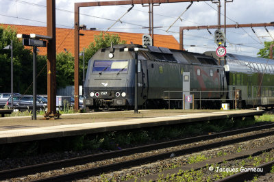 _IGP5659.JPG