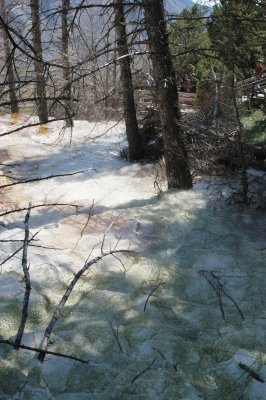 DSC_3649.jpg