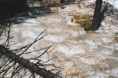 DSC_3651.jpg