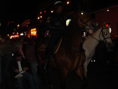 town-horsie-cops.jpg