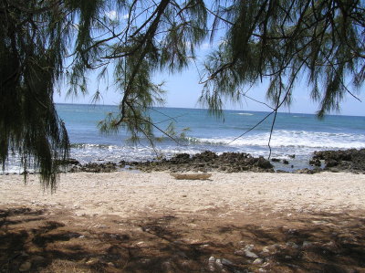 beach